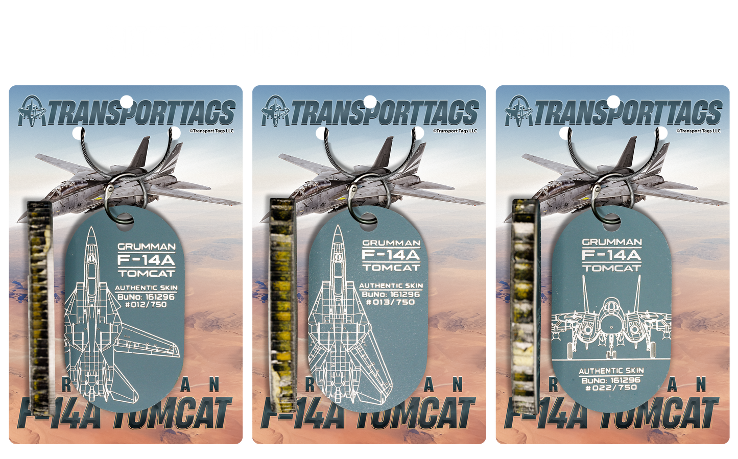 F-14A Tomcat – BuNo 161296