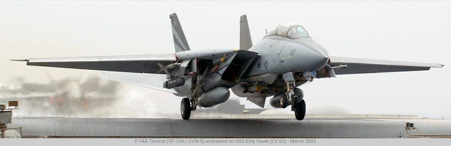 F-14A Tomcat – BuNo 161296