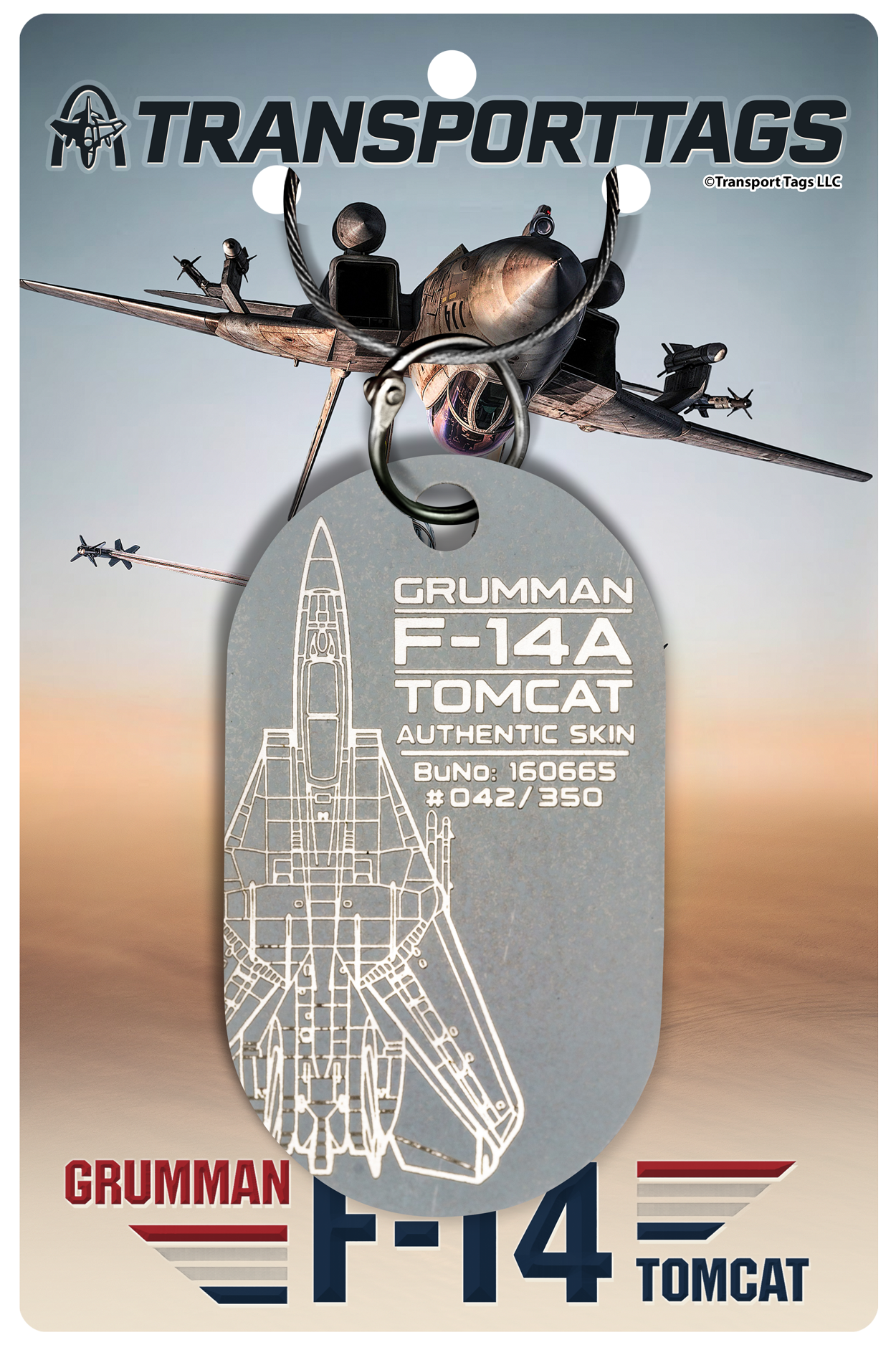 F-14A "TOP GUN" Tomcat - BuNo 160665