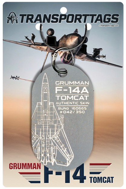 F-14A "TOP GUN" Tomcat - BuNo 160665