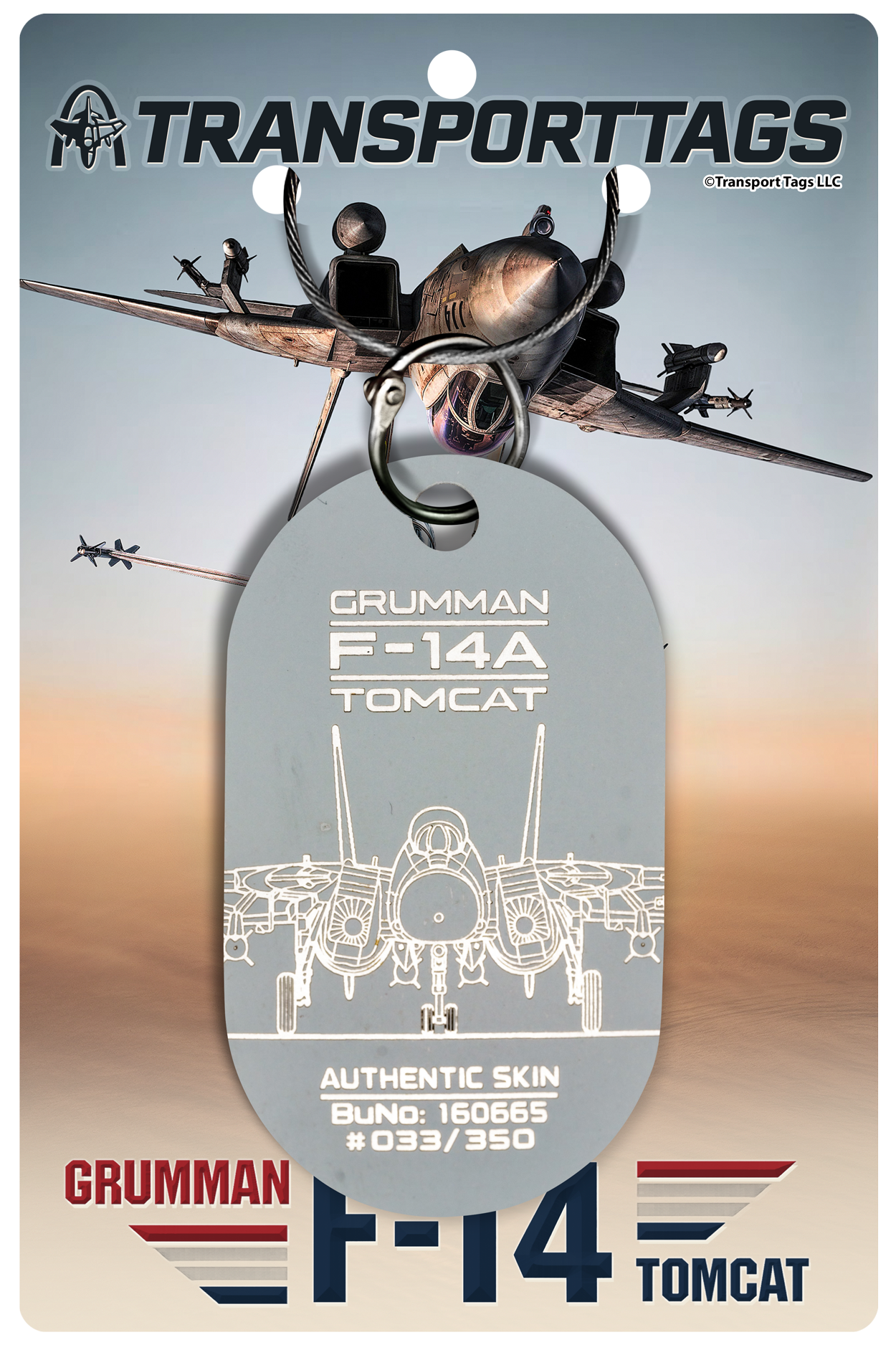 F-14A "TOP GUN" Tomcat - BuNo 160665