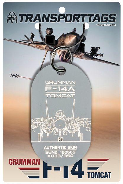F-14A "TOP GUN" Tomcat - BuNo 160665