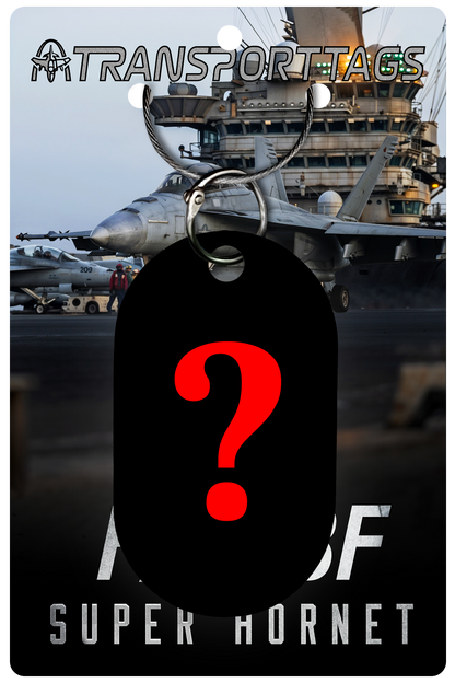 F/A-18E/F Super Hornet
