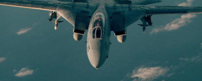 F-14A "TOP GUN" Tomcat - BuNo 160665