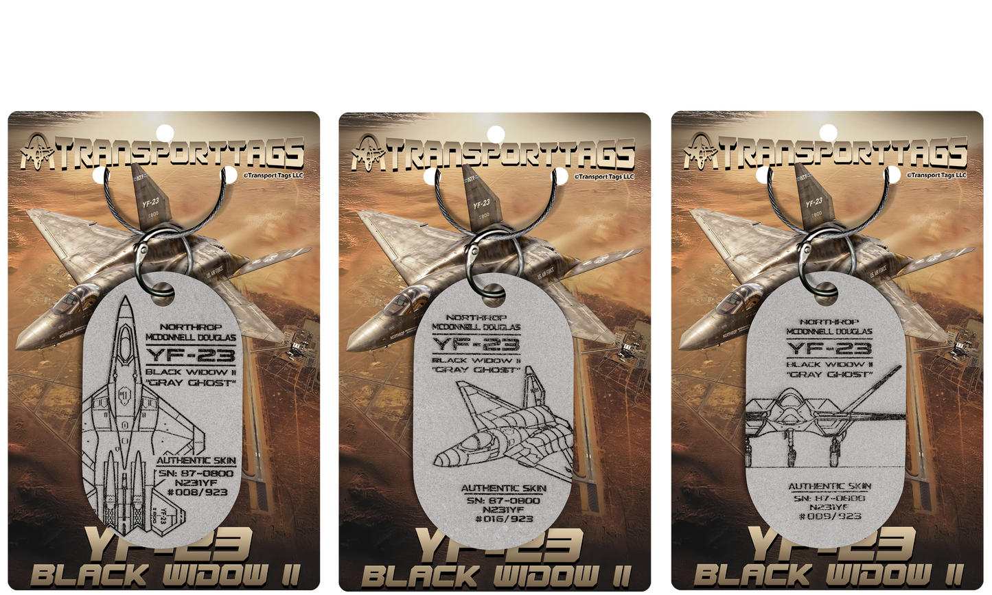 YF-23 Black Widow II