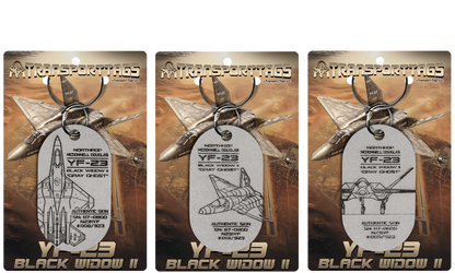 YF-23 Black Widow II