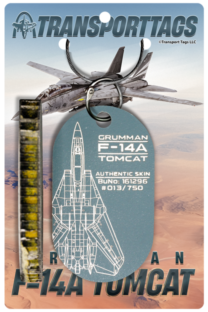 F-14A Tomcat – BuNo 161296