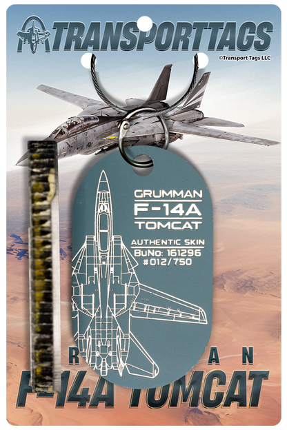 F-14A Tomcat – BuNo 161296