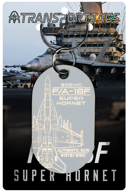 F/A-18E/F Super Hornet
