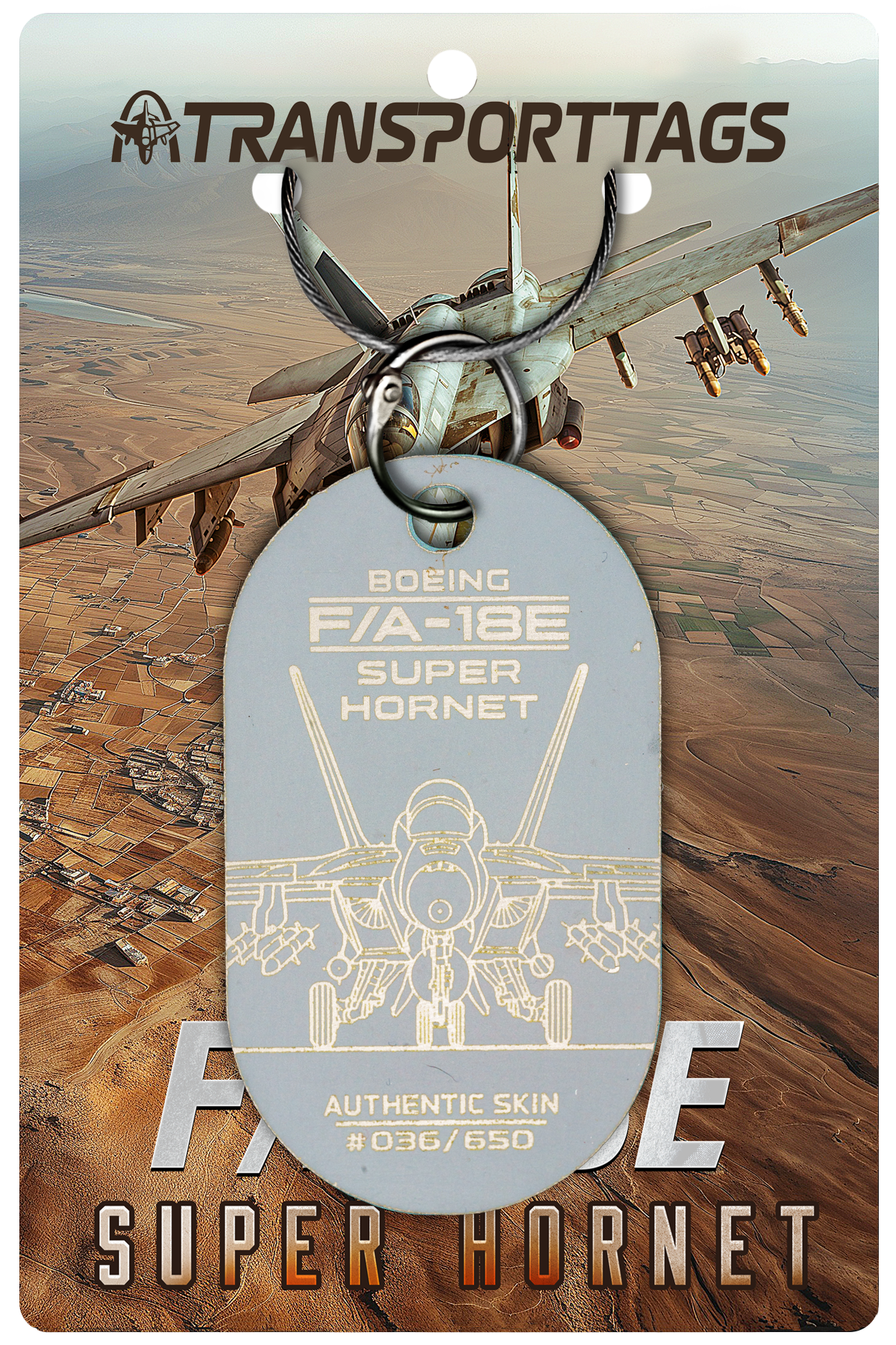 F/A-18E/F Super Hornet