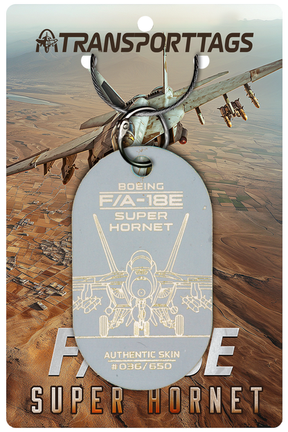 F/A-18E/F Super Hornet