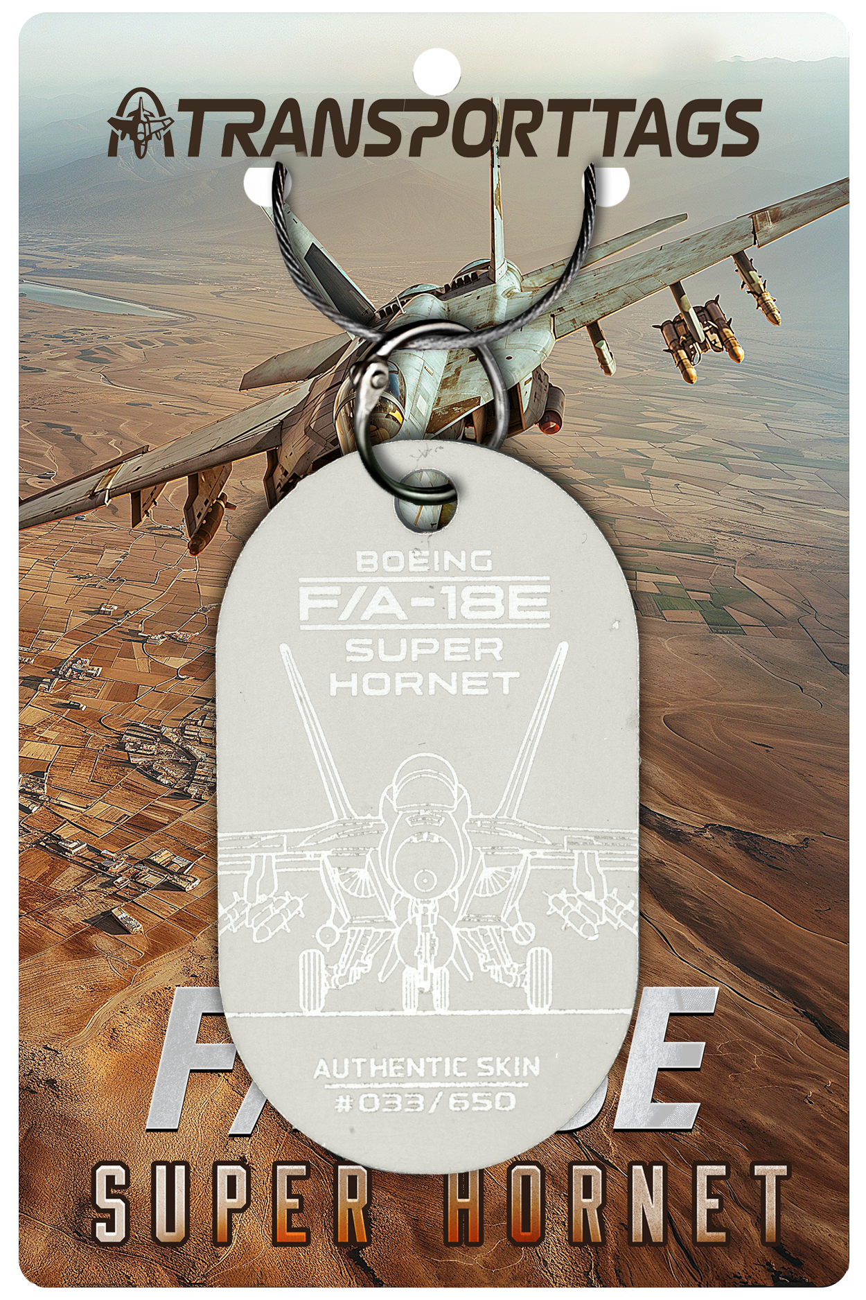 F/A-18E/F Super Hornet