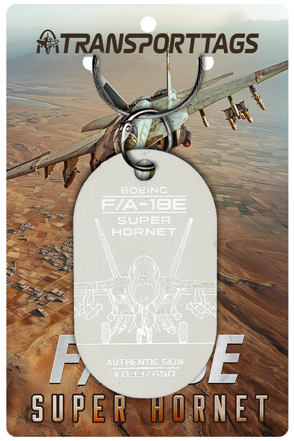 F/A-18E/F Super Hornet