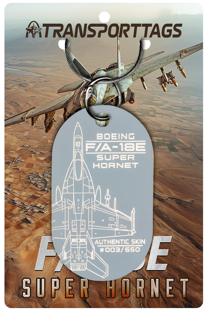 F/A-18E/F Super Hornet