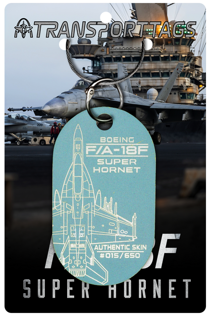 F/A-18E/F Super Hornet